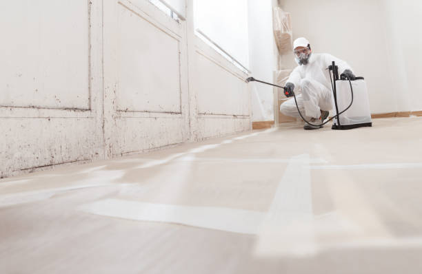 24/7 Emergency Black Mold Removal experts in Highland Park, TX