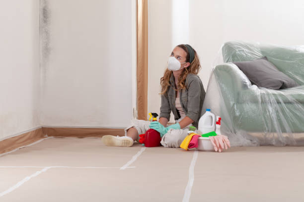 Trusted Black Mold Removal service in Highland Park, TX - WQB Mold Removal
